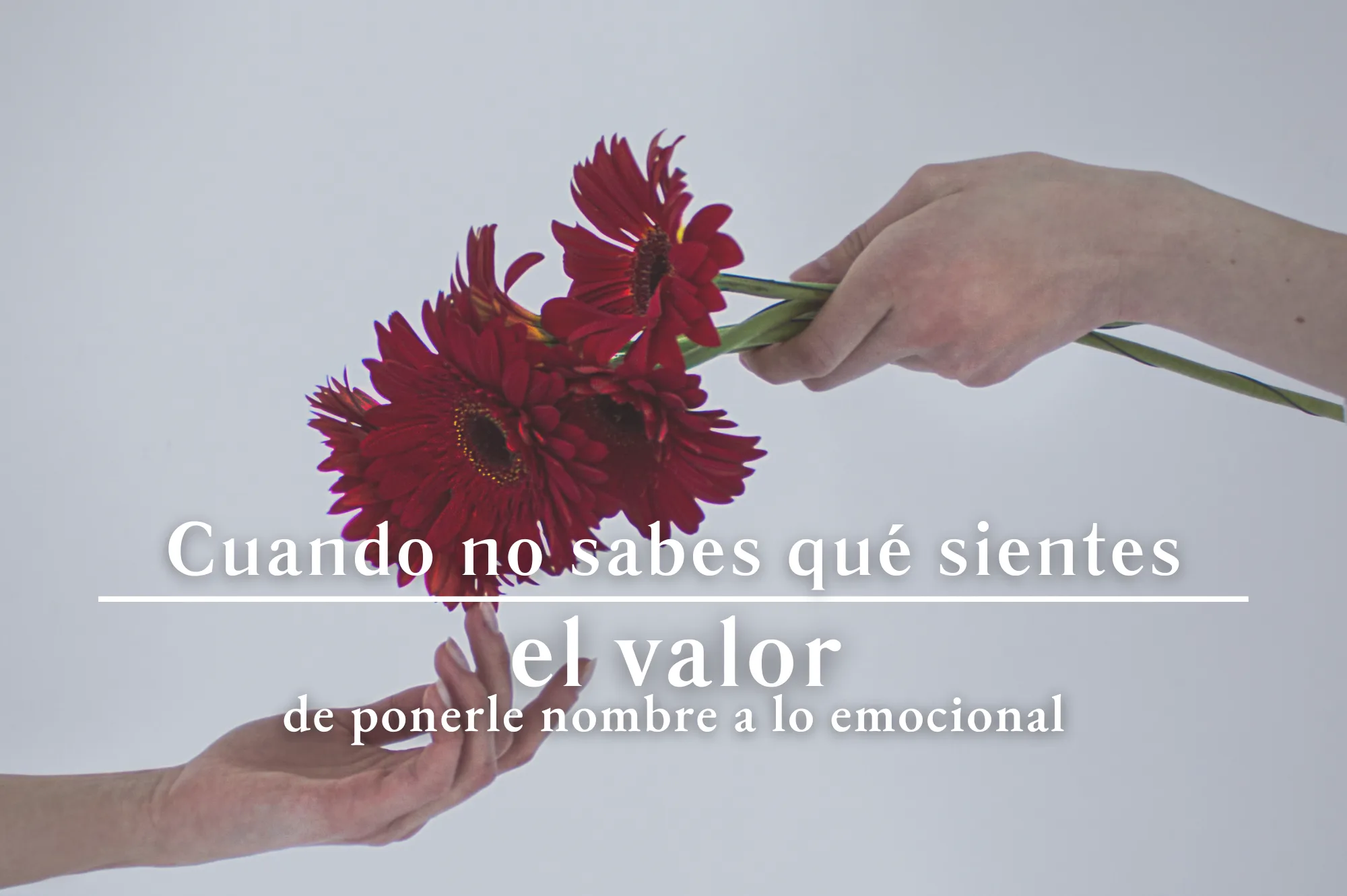 el valor de ponerle nombre a lo emocional | ki darma